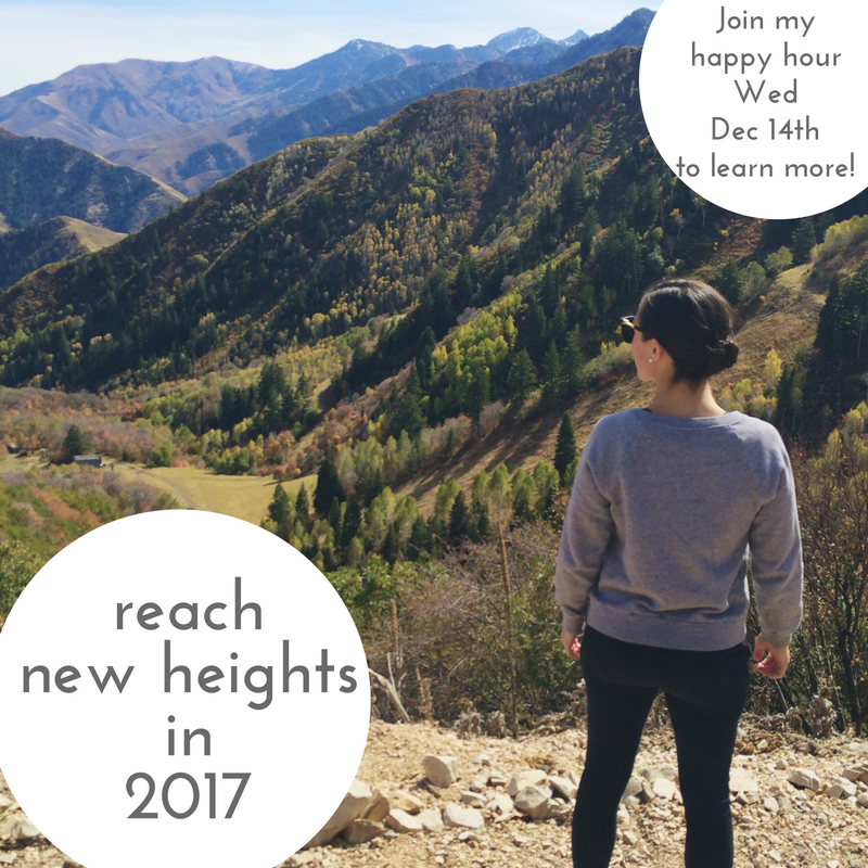 reach-new-heights-in-2017